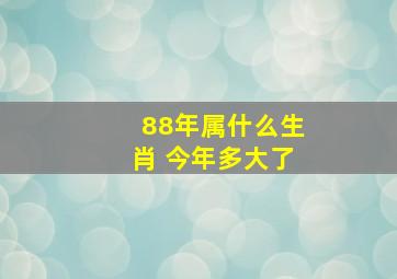 88年属什么生肖 今年多大了